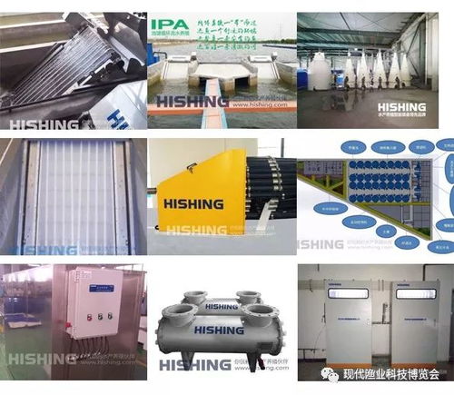 智能科技引領漁業(yè)新篇章 無人艇、增氧機、循環(huán)水與自動喂料設備亮相現(xiàn)代漁業(yè)科技博覽會